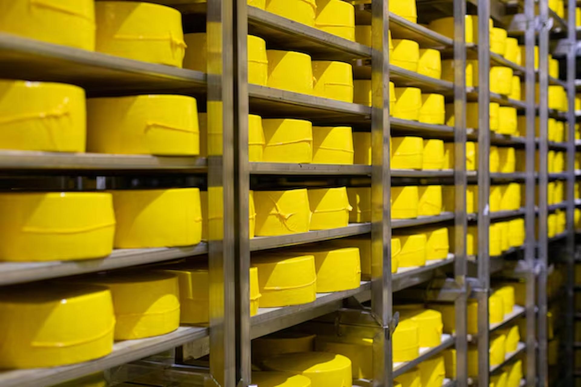 Storage Solutions for Hazardous Materials